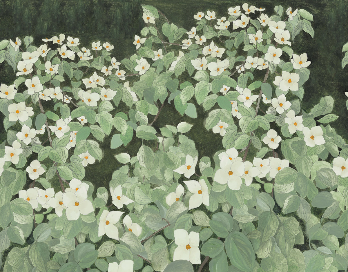 Parkflowers, White Mural Wallpaper - pure wallpaper artwork