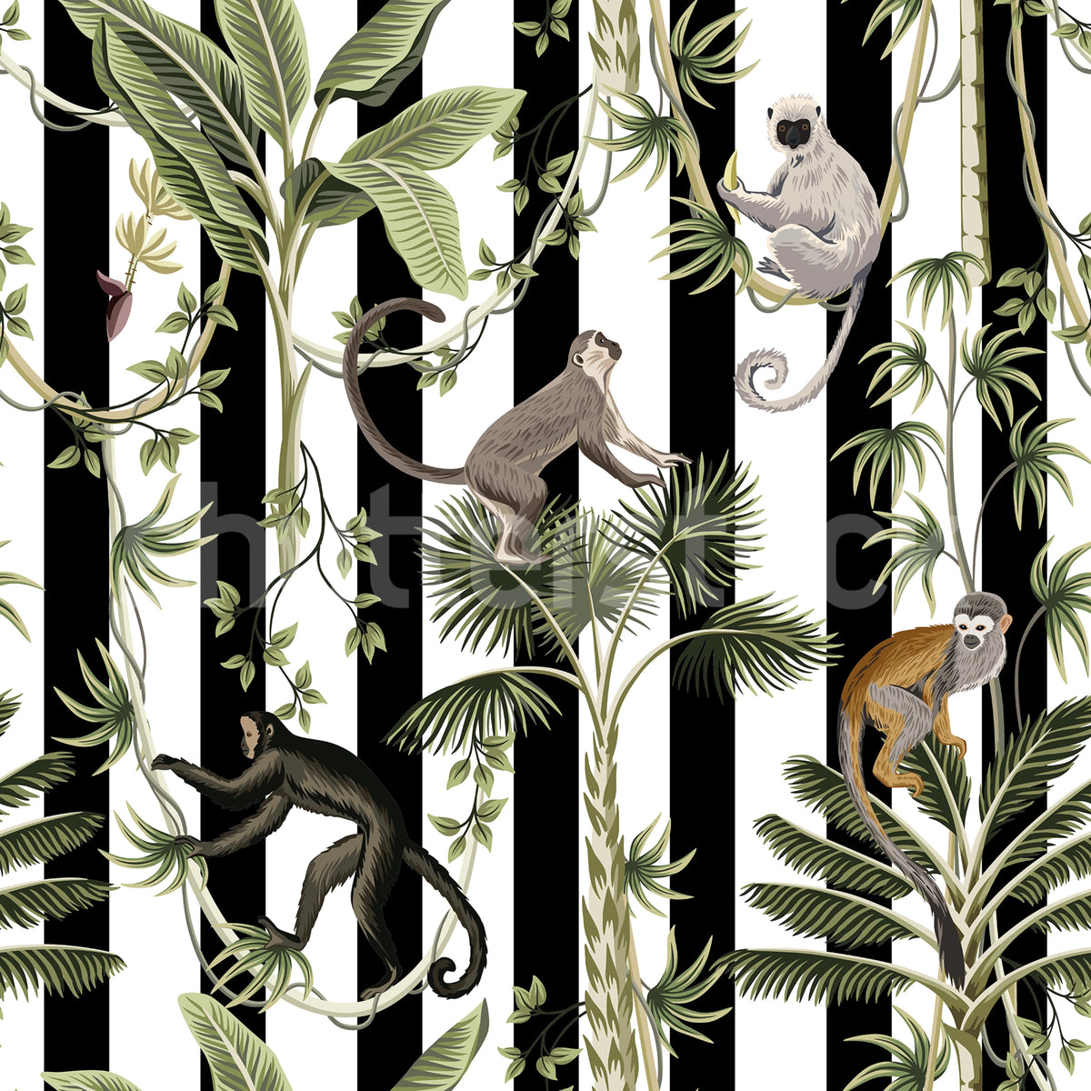 Monkey Stripes, Black Mural Wallpaper - pure wallpaper artwork