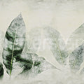 Misty Leafs, Green Mural Wallpaper - pure wallpaper artwork
