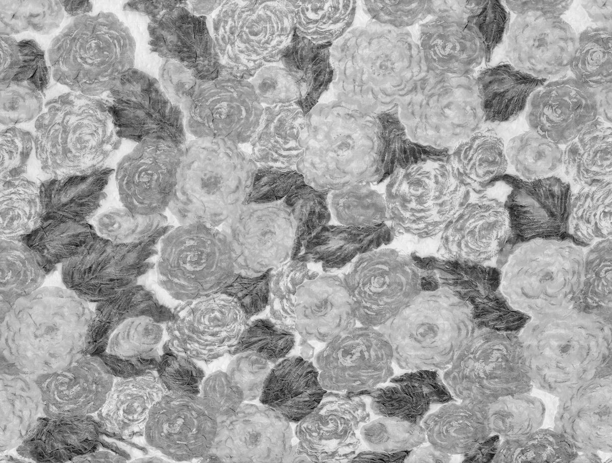 Sol Rosa, Black & White Mural Wallpaper - pure wallpaper artwork