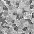 Sol Rosa, Black & White Mural Wallpaper - pure wallpaper artwork