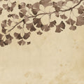 Maidenhair Tree, Brown Mural Wallpaper - pure wallpaper artwork