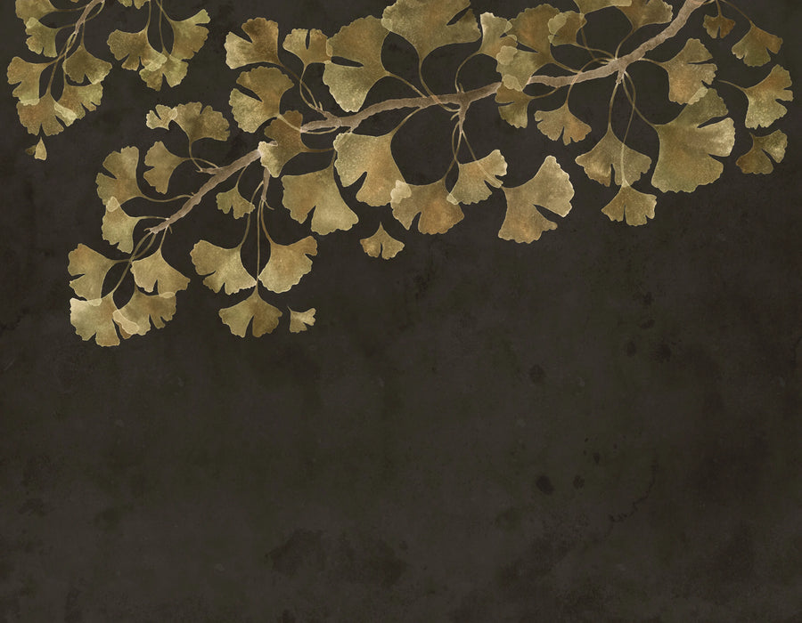 Maidenhair Tree, Black Mural Wallpaper