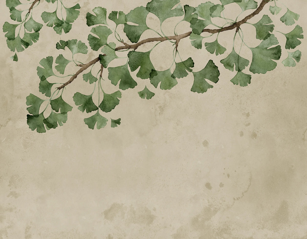 Maidenhair Tree, Green Mural Wallpaper - pure wallpaper artwork