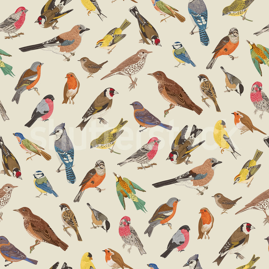 Birdsong Bliss, Multi Mural Wallpaper