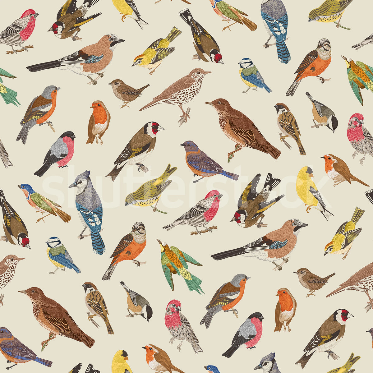 Birdsong Bliss, Multi Mural Wallpaper - pure wallpaper artwork