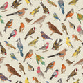 Birdsong Bliss, Multi Mural Wallpaper - pure wallpaper artwork