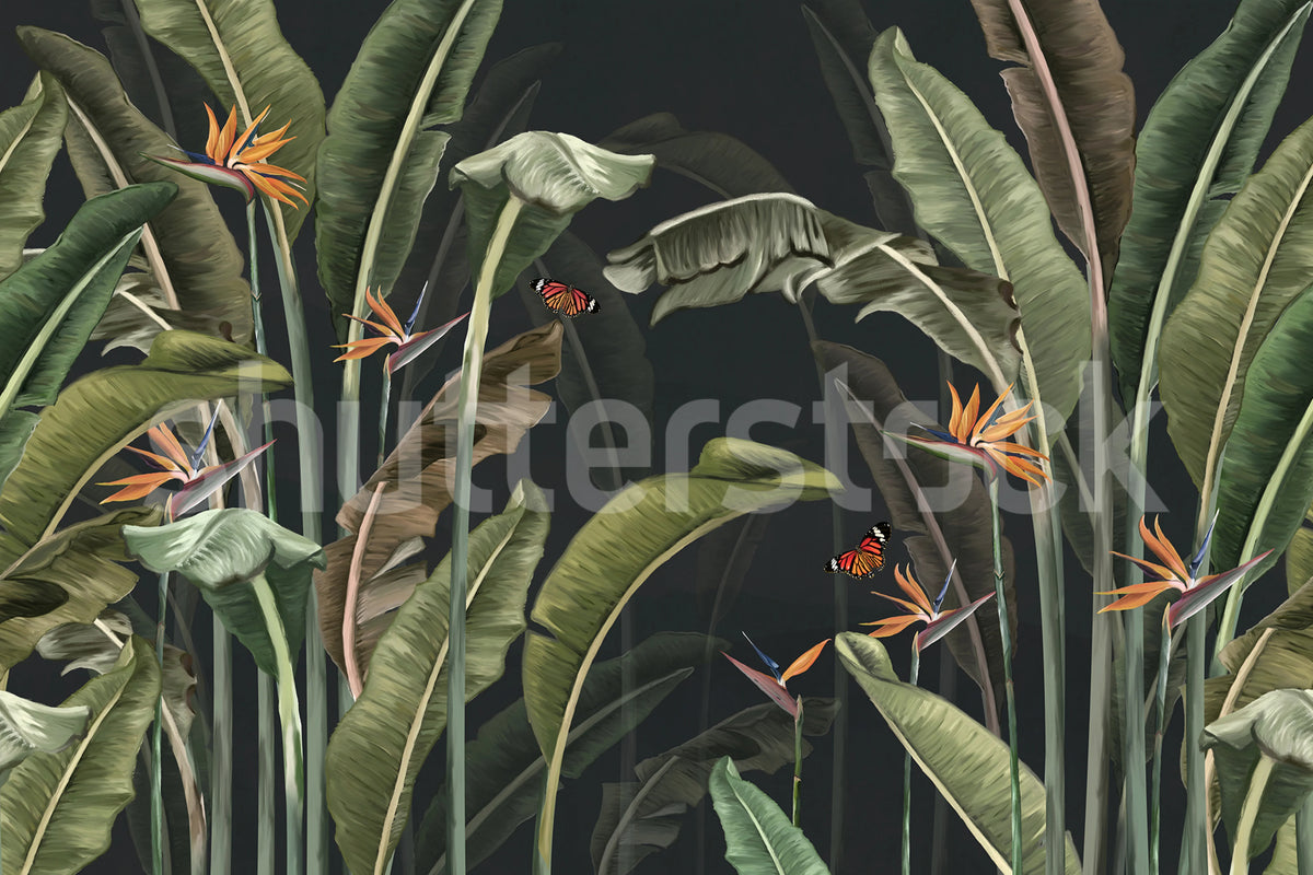 Tropical Butterflies, Night Mural Wallpaper - pure wallpaper artwork