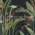 Tropical Butterflies, Night Mural Wallpaper - pure wallpaper artwork