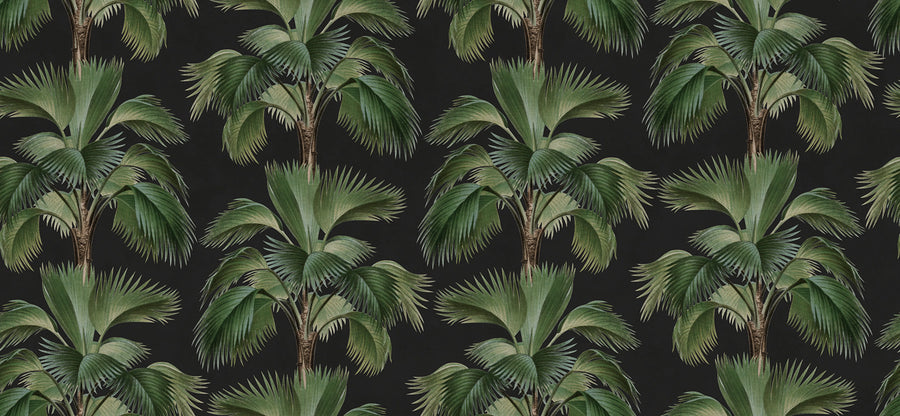 Tropical Rhythm, Black Mural Wallpaper