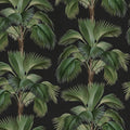 Tropical Rhythm, Black Mural Wallpaper - pure wallpaper artwork