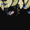 Birds in the Trees, Black Mural Wallpaper - pure wallpaper artwork