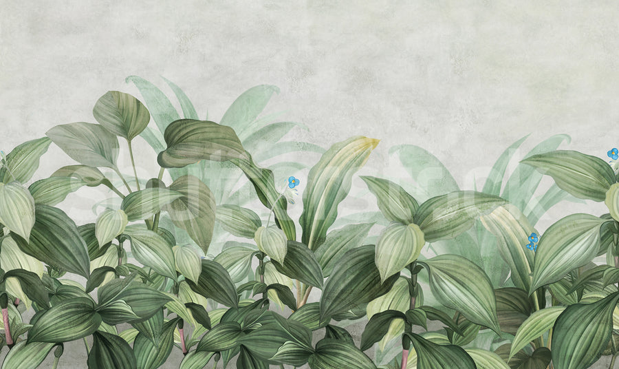 Hosta Bloom, Green Mural Wallpaper