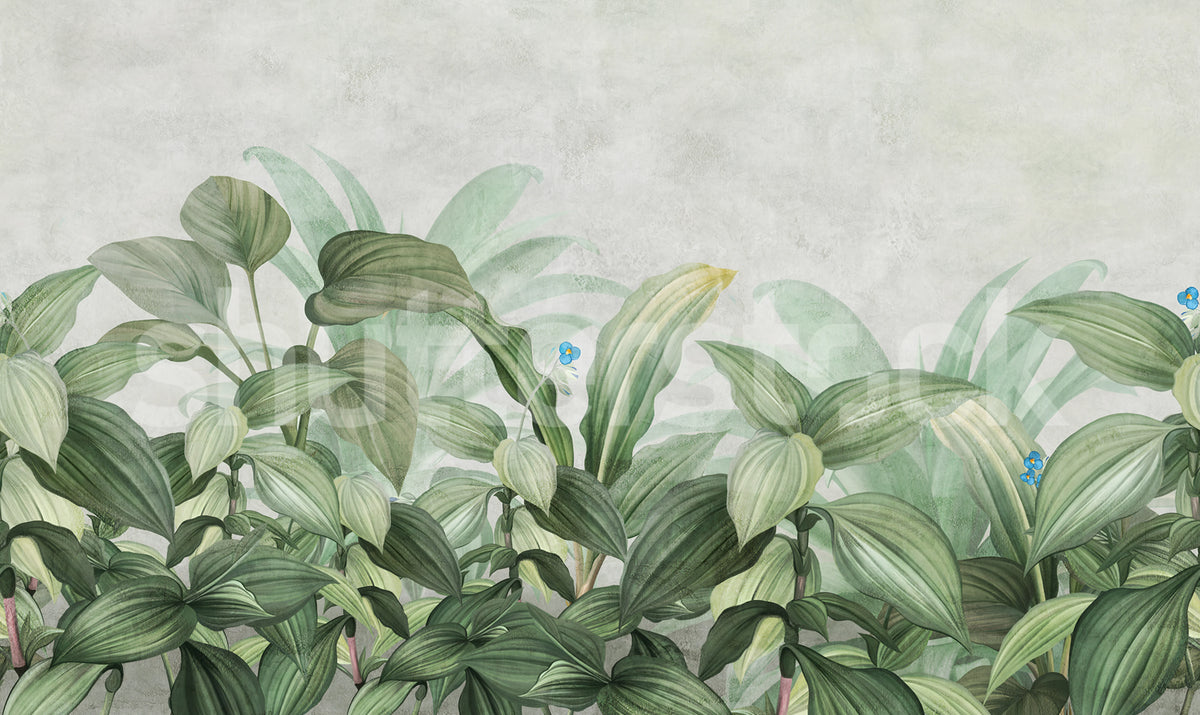 Hosta Bloom, Green Mural Wallpaper - pure wallpaper artwork