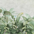 Hosta Bloom, Green Mural Wallpaper - pure wallpaper artwork