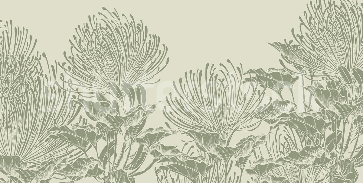 Protea Bloom, Soft Green Mural Wallpaper - pure wallpaper artwork