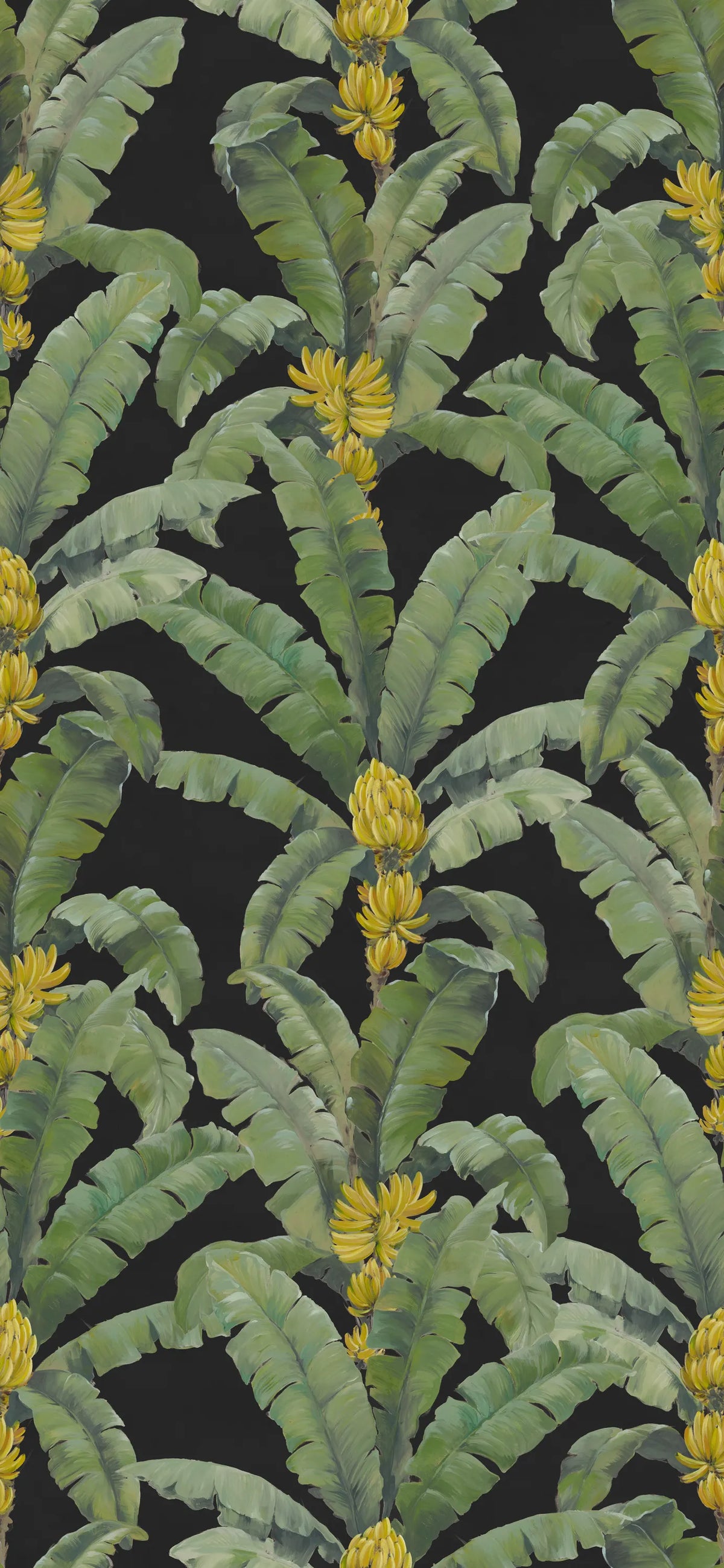 Banana Leaf, Black Mural Wallpaper - pure wallpaper artwork