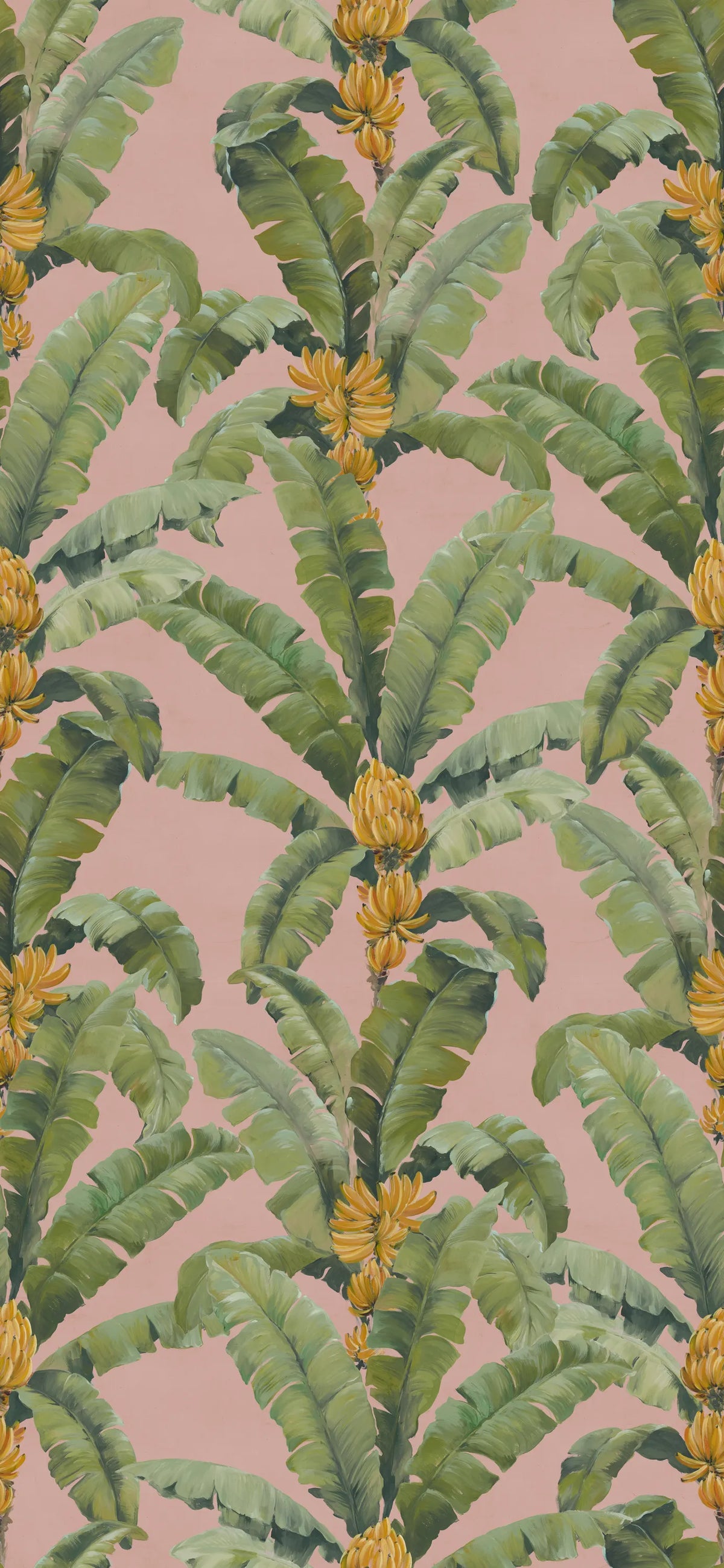 Banana Leaf, Pink Mural Wallpaper - pure wallpaper artwork