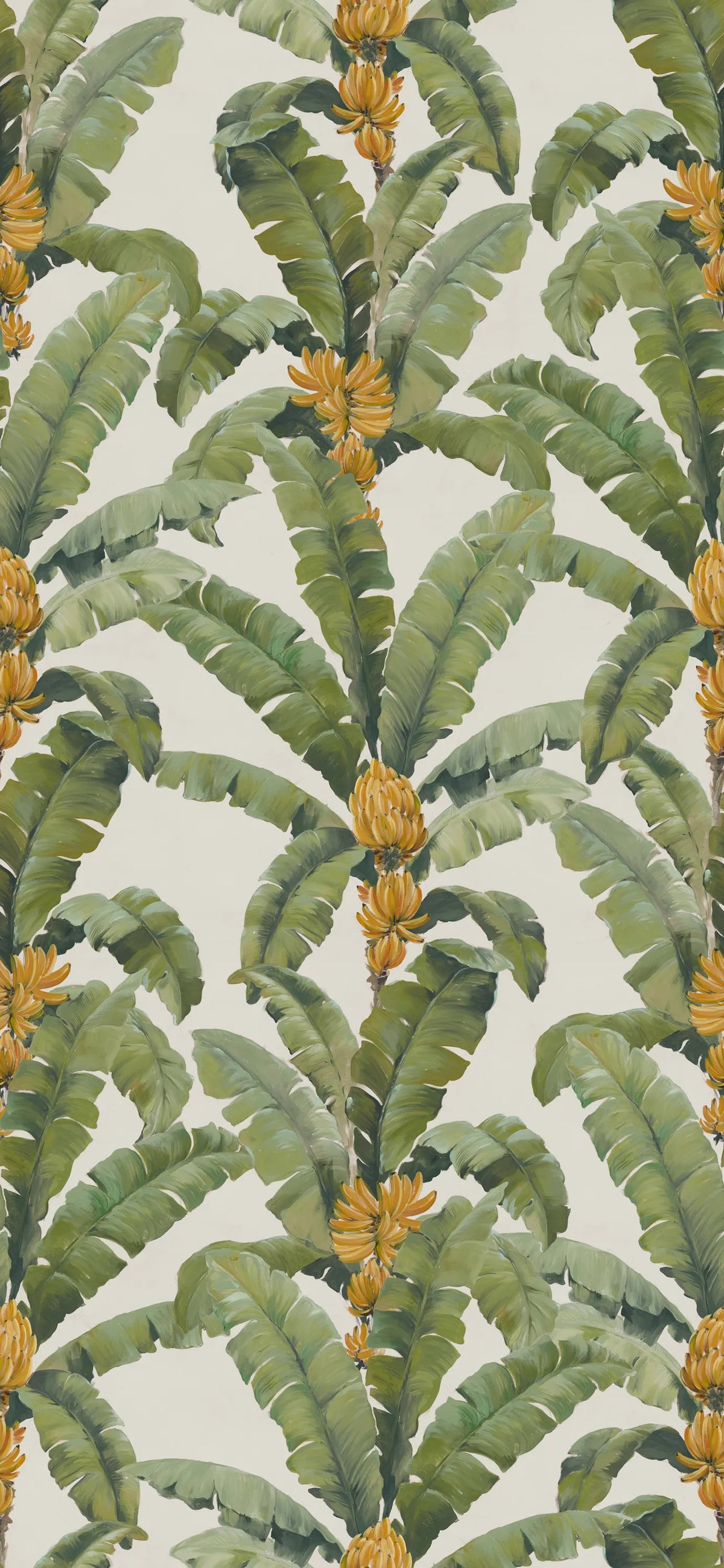 Banana Leaf, White Mural Wallpaper - pure wallpaper artwork
