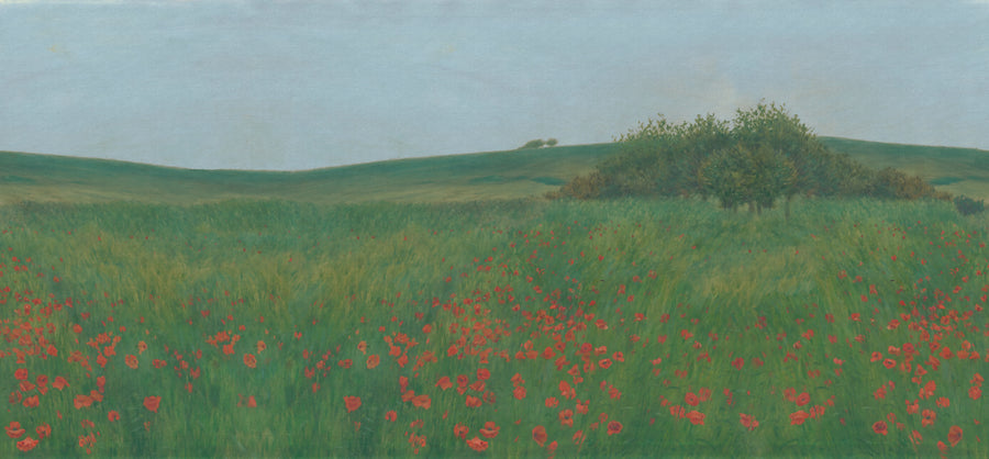 Poppy Landscape, Summer Mural Wallpaper