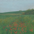Poppy Landscape, Summer Mural Wallpaper - pure wallpaper artwork