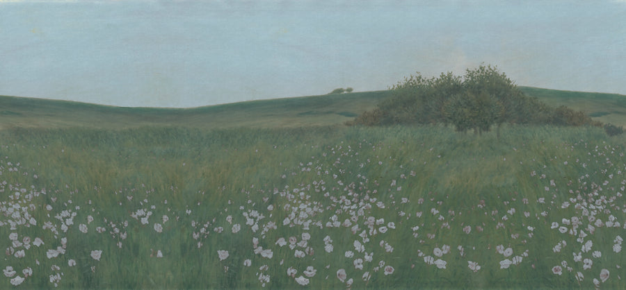 Poppy Landscape, Dusk Mural Wallpaper