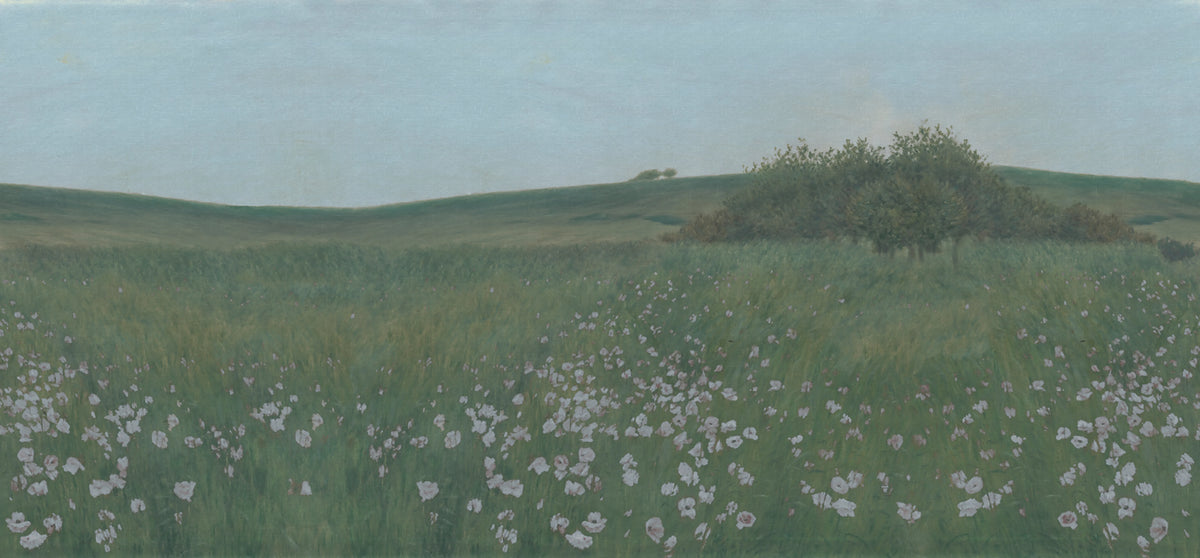 Poppy Landscape, Dusk Mural Wallpaper - pure wallpaper artwork