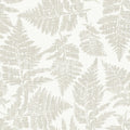 Fern Print, Gray Mural Wallpaper - pure wallpaper artwork