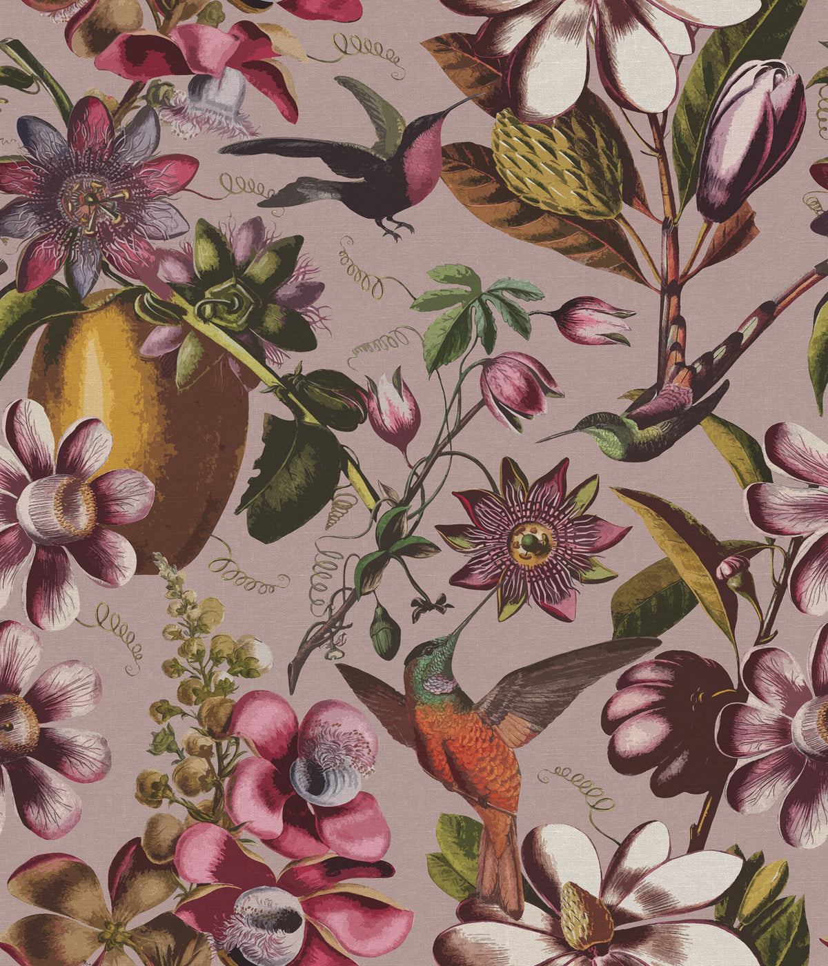 Flying Kolibri, Pink Mural Wallpaper - pure wallpaper artwork