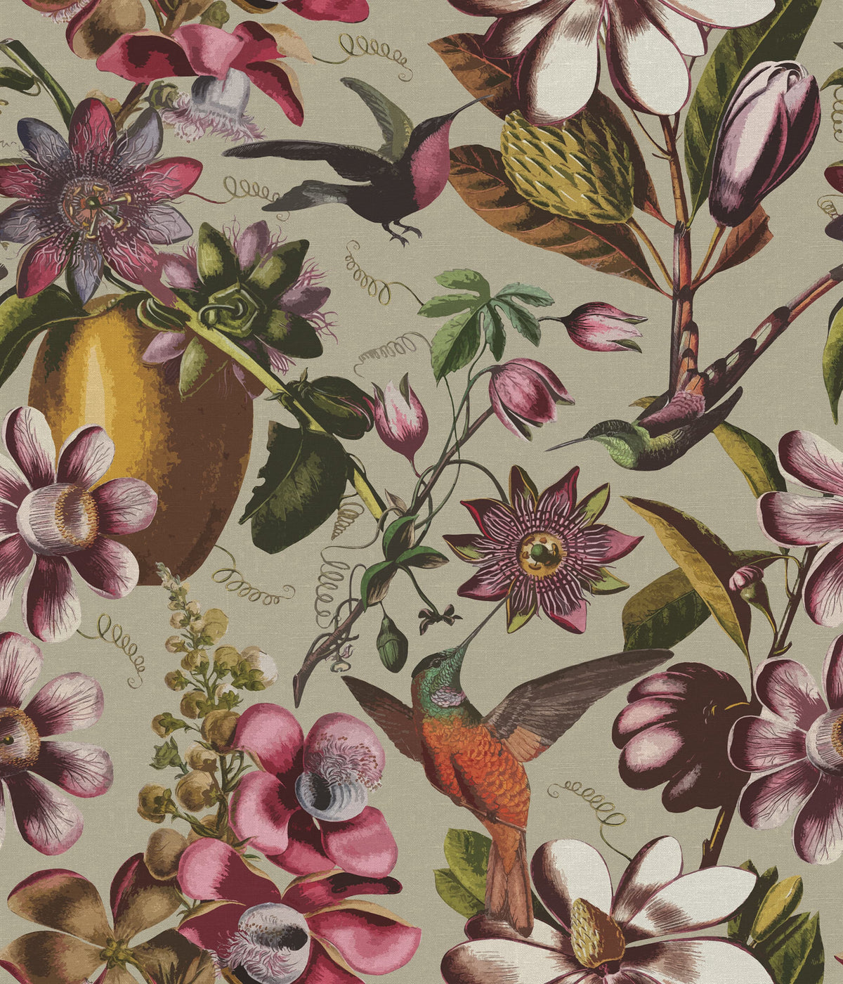 Flying Kolibri, Beige Mural Wallpaper - pure wallpaper artwork