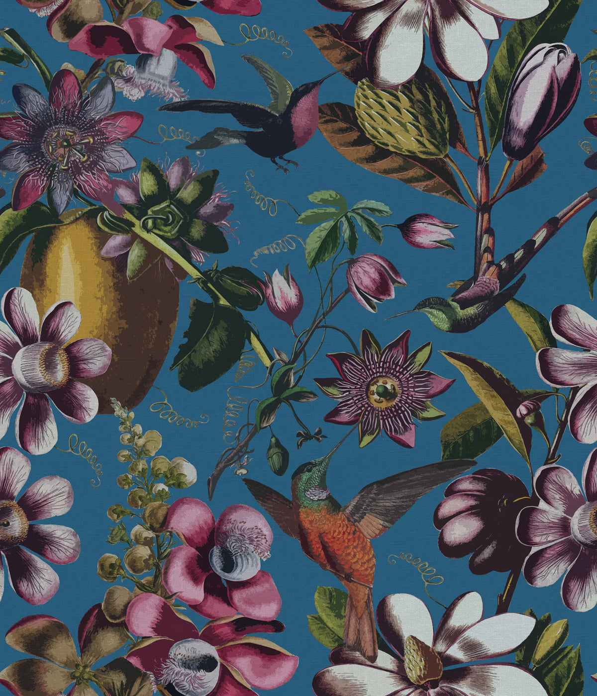 Flying Kolibri, Blue Mural Wallpaper - pure wallpaper artwork