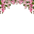 Bloom Garland, Pink Mural Wallpaper - pure wallpaper artwork