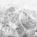Lotus Leafs, Gray Mural Wallpaper - pure wallpaper artwork