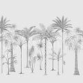 Playful Palms, Gray Mural Wallpaper - pure wallpaper artwork