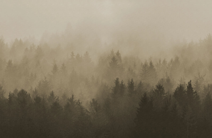 Cloudy Forest, Brown Mural Wallpaper