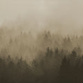 Cloudy Forest, Brown Mural Wallpaper - pure wallpaper artwork