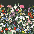 Playful Meadow, Black Mural Wallpaper - pure wallpaper artwork