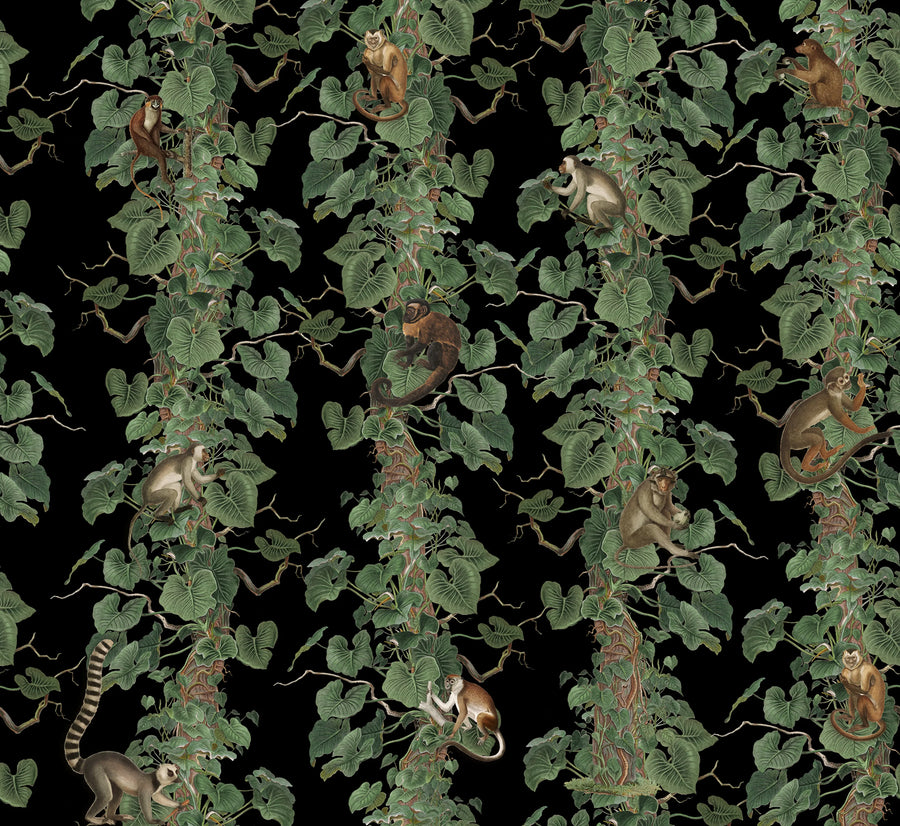Monkey Climbers, Black Mural Wallpaper