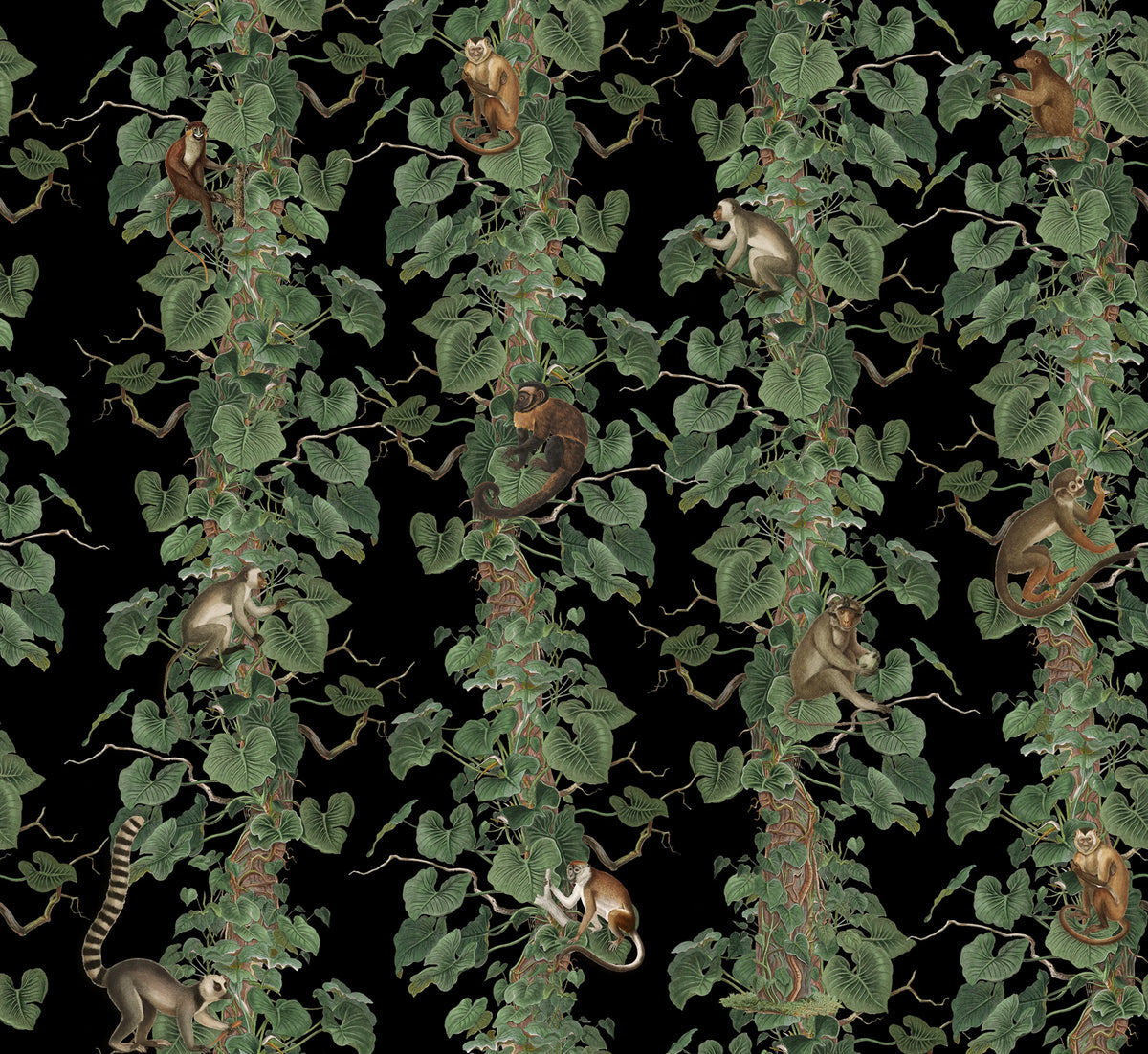 Monkey Climbers, Black Mural Wallpaper - pure wallpaper artwork
