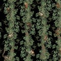 Monkey Climbers, Black Mural Wallpaper - pure wallpaper artwork