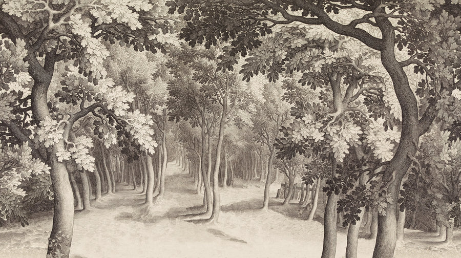 Forest Engraving, Vintage Mural Wallpaper