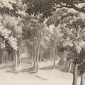 Forest Engraving, Vintage Mural Wallpaper - pure wallpaper artwork