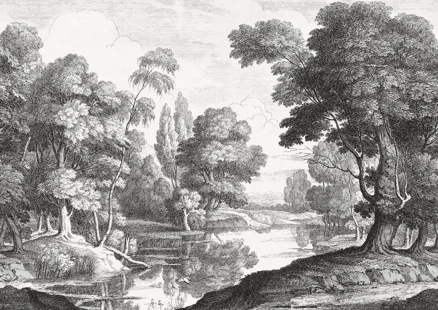 Etching Park, Black Mural Wallpaper