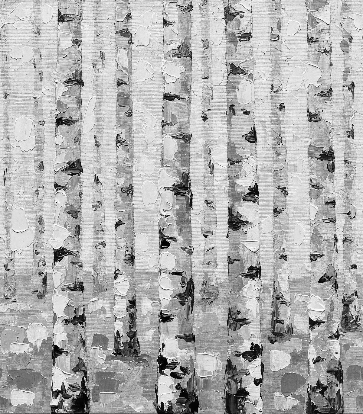 Birch Forest, Black & White Mural Wallpaper - pure wallpaper artwork