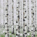 Birch Forest, Green Mural Wallpaper - pure wallpaper artwork