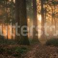 Misty Morning, Soft Mural Wallpaper - pure wallpaper artwork