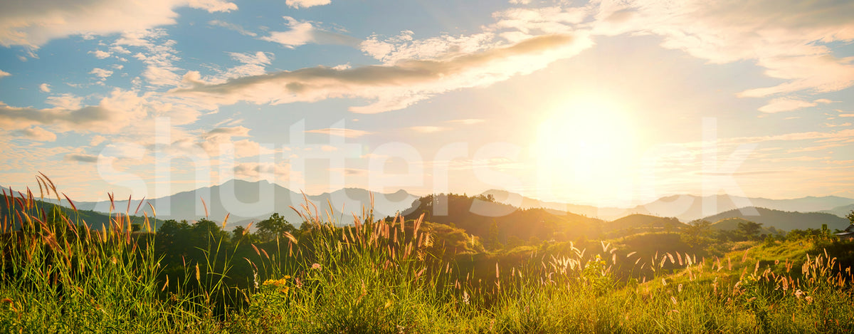 Sunrise Hills, Soft Mural Wallpaper - pure wallpaper artwork