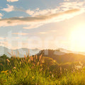 Sunrise Hills, Soft Mural Wallpaper - pure wallpaper artwork