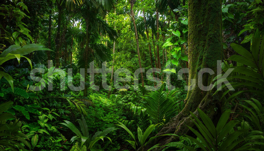 Tropical Landscape, Green Mural Wallpaper