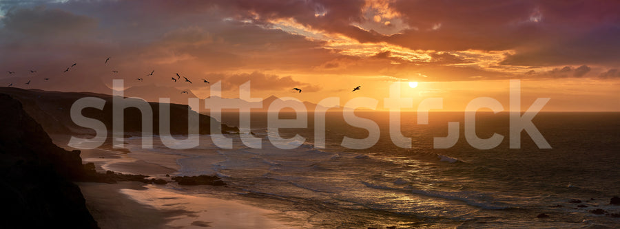 The Coast, Dusk Mural Wallpaper